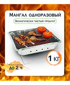 Мангал одноразовый Bay 1кг