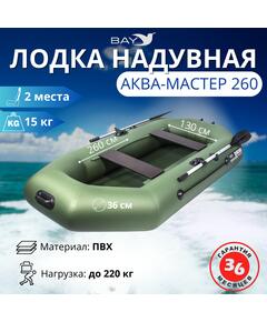Надувная лодка Аква-мастер 260 зеленый