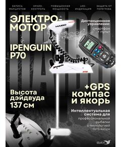 Электромотор лодочный Haibo iPenguin P70