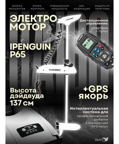 Электромотор лодочный Haibo iPenguin P65 (GPS якорь)