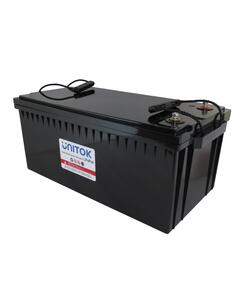 Аккумулятор UniTok Lifepo4 ES 24-230 (ящик)