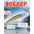 Воблер TsuYoki CHANCE 115SP X100