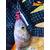 Силиконовая приманка Fish Magnet LUCY 1.6 цвет 006, размер 40.6