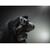 Фонарь Armytek Predator Pro Magnet USB White