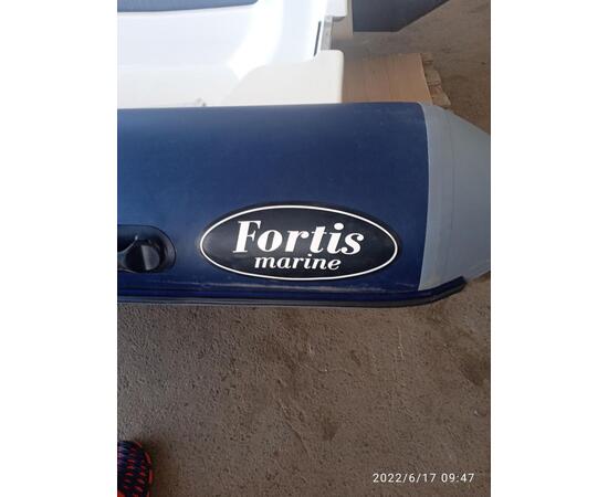 Моторно-гребная лодка Fortis 430