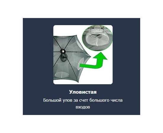 Раколовка "Зонтик", 4 входа, сетка, складная