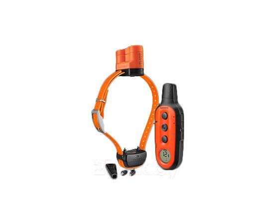 Ошейник Garmin DELTA Upland XC Bundle