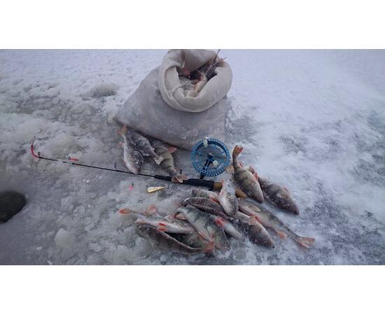 Блесна RB Parus 15 г Silver Gold
