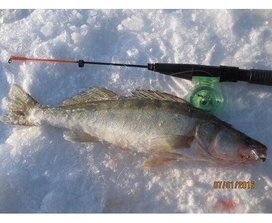 Блесна RB Parus 15 г Copper Gold