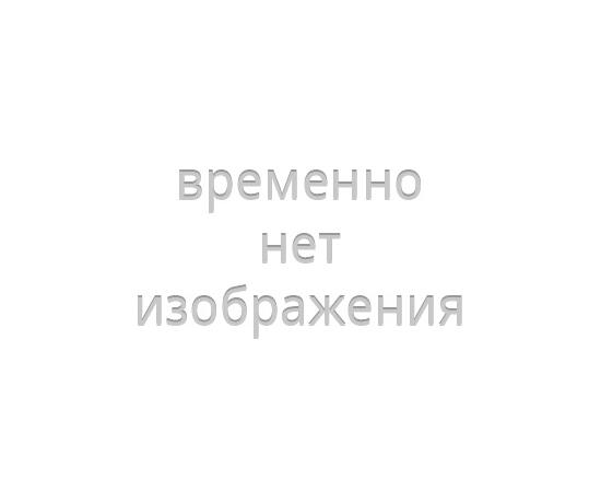 Пол для тамбура палатки Golden Shark Premium 4