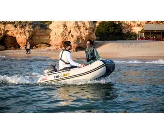 Лодочный мотор YAMAHA F4BMHS