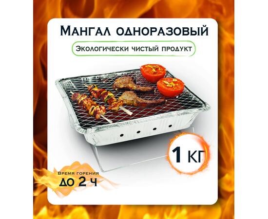Мангал одноразовый Bay 1кг