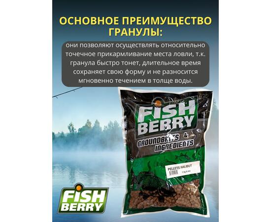 FishBerry Пеллетс карповый (палтус, цв. -бордовый) 6мм - 1 кг