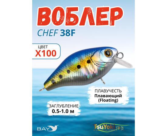 Воблер TsuYoki CHEF 38F X100