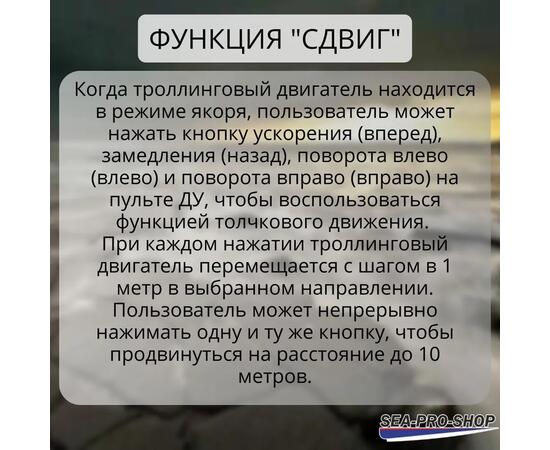 Выносной GPS-компас SEA-PRO для электромоторов