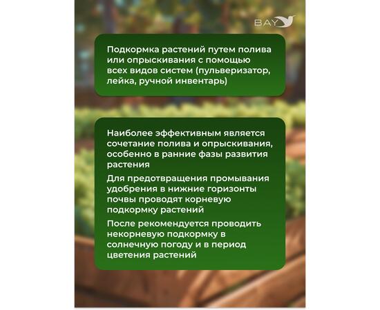 МДК Регулятор роста РОСТМОМЕНТ 250г