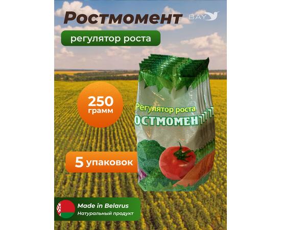 МДК Регулятор роста РОСТМОМЕНТ 250г, 5 пачек