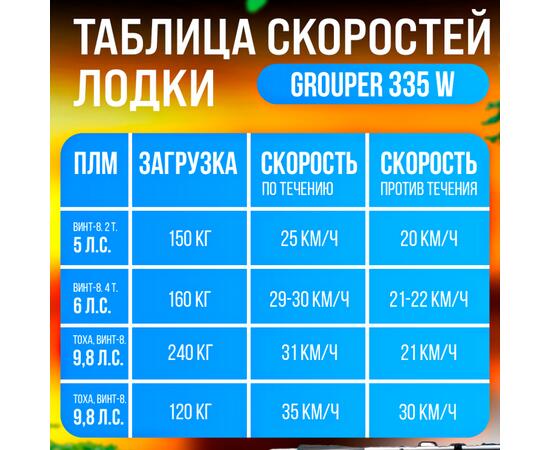 Надувная лодка НДНД Grouper 335W