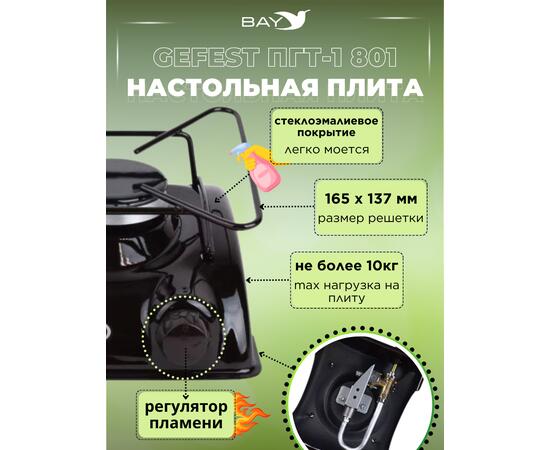 Плита газовая бытовая туристическая ПГТ1-Б Novogaz (новогаз)