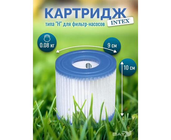 29007 Сменный картридж Intex Н типа