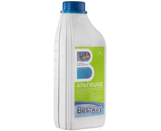 Средство для борьбы с водорослями Bestway Альгицид непенящийся AP1LBW (1кг)