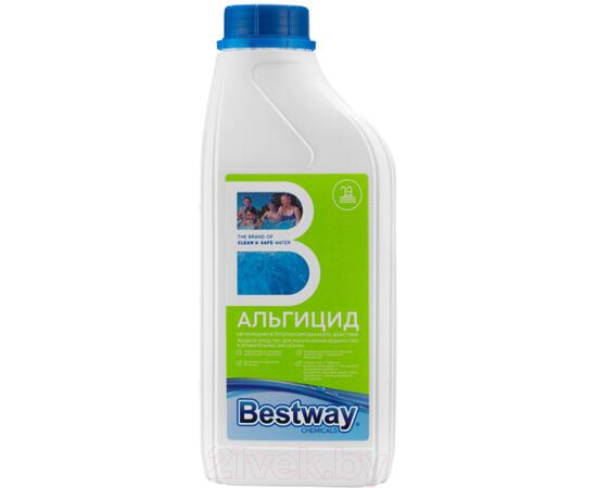 Средство для борьбы с водорослями Bestway Альгицид непенящийся AP1LBW (1кг)