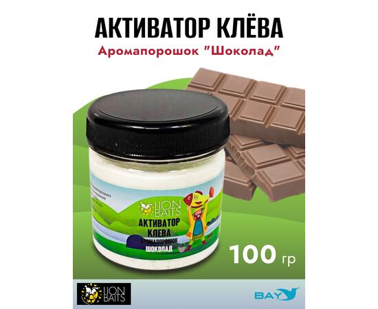 Lion Baits Активатор клева Аромапорошок "Шоколад" 100гр