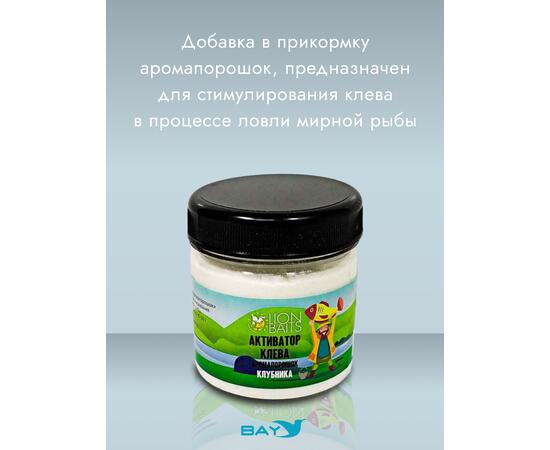 Lion Baits Активатор клева Аромапорошок "Клубника" 100гр