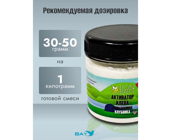 Lion Baits Активатор клева Аромапорошок "Клубника" 100гр