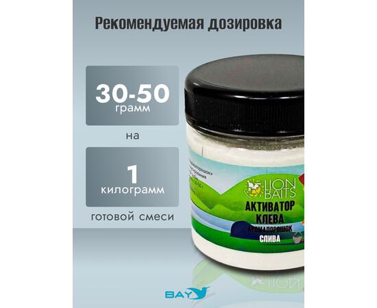 Lion Baits Активатор клева Аромапорошок "Слива" 100гр