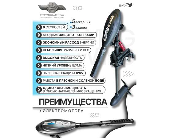 Электромотор лодочный Haswing Osapian 30