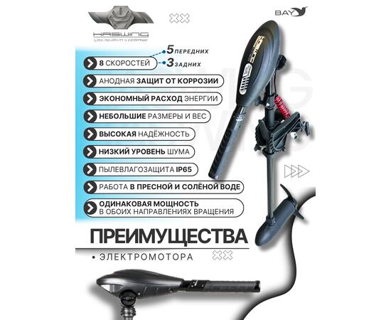 Электромотор лодочный Haswing Osapian 40