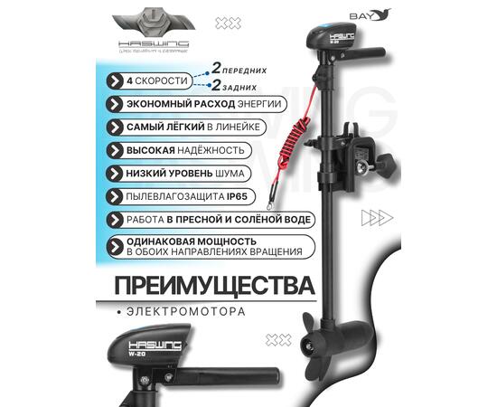 Электромотор лодочный Haswing W-20