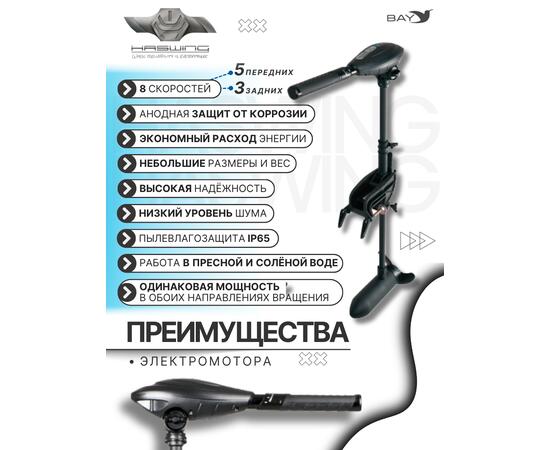 Электромотор лодочный Haswing Osapian 55