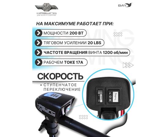 Электромотор лодочный Haswing W-20