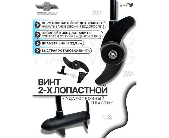 Электромотор лодочный Haswing Osapian 40