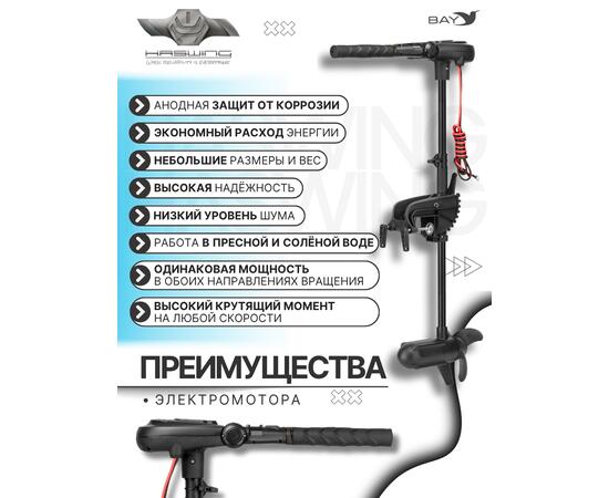 Электромотор лодочный Haswing Protruar 1.0 12V 65 lbs (87 см.)