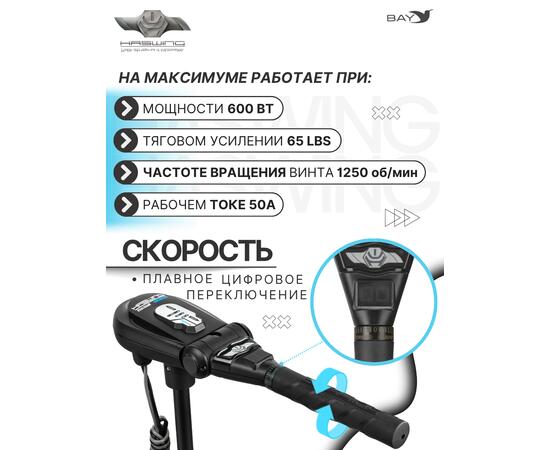 Электромотор лодочный Haswing Protruar 1.0 12V 65 lbs (87 см.)