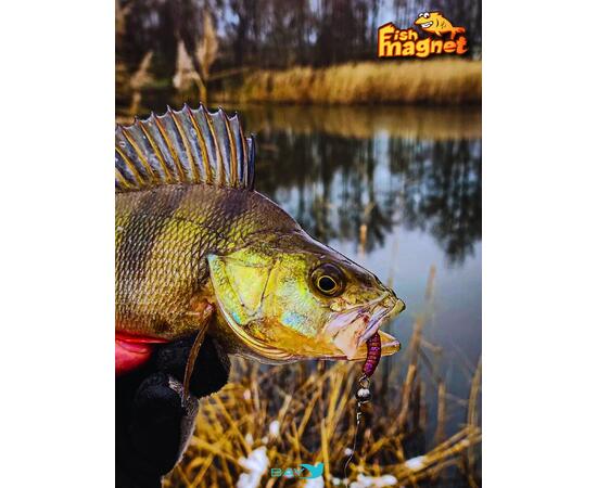 Силиконовая приманка пассивная съедобная Fish Magnet BITA 2" (50.8 мм), цвет 131, 10 шт на рыбалку для окуня