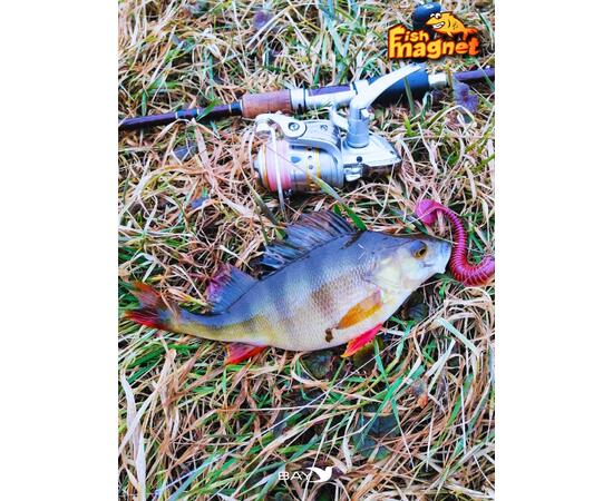Силиконовая приманка Fish Magnet CHOPPY FAT 2.8", съедобная, 71.1 мм, цвет 133, 8 шт для хищной рыбы
