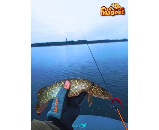 Силиконовая приманка Fish Magnet LUCY 1.6 цвет 140, размер 40.6