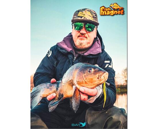 Силиконовая приманка Fish Magnet SEKSIK 2.8 размер 71 мм, цвет 006