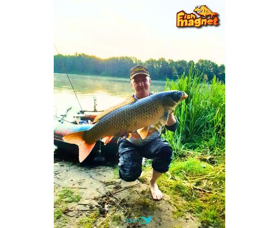 Силиконовая приманка Fish Magnet SHISHKA 1.5 размер 38.1 мм , цвет 002