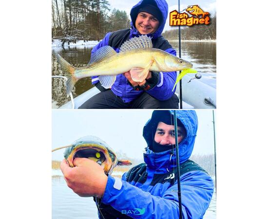 Силиконовая приманка Fish Magnet SHISHKA 1 размер 25.4 мм , цвет 125