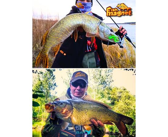 Силиконовая приманка Fish Magnet SHREDER 1.6 размер 40,6 мм, цвет 002