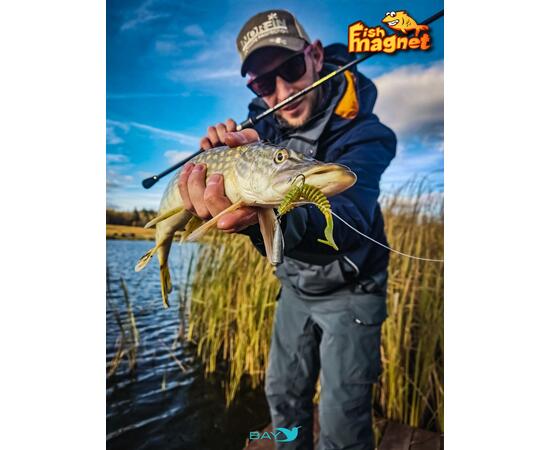 Силиконовая приманка Fish Magnet STIK 2" размер 50.8 мм, цвет 125