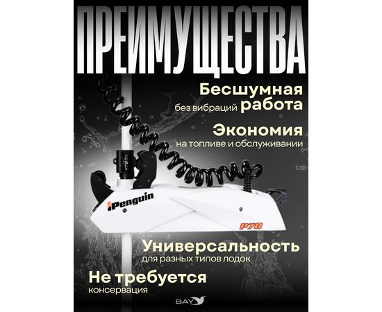 Электромотор лодочный Haibo iPenguin P70