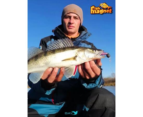 Силиконовые приманки Fish Magnet Talisman 3" (76.2 мм) цвет 123