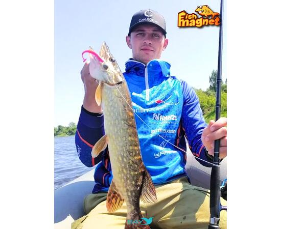 Силиконовые приманки Fish Magnet Talisman 3" (76.2 мм) цвет 004