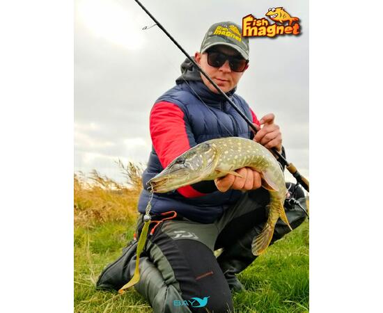 Силиконовая приманка Fish Magnet UGOR 4" (101.6 мм) цвет 003